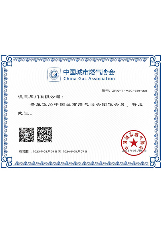 中國城市燃?xì)鈪f(xié)會(huì)證書 中國城市燃?xì)鈪f(xié)會(huì)證書